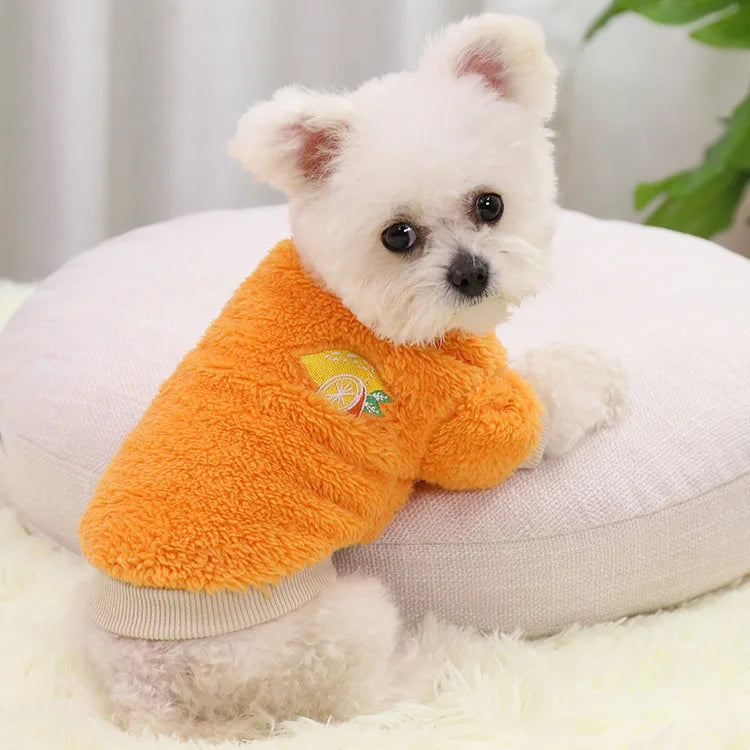 Pet Dog Clothes