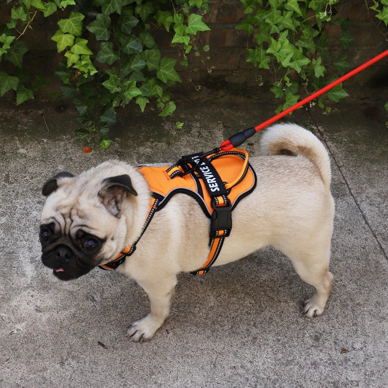 Nylon Dog Harness Vest Reflective