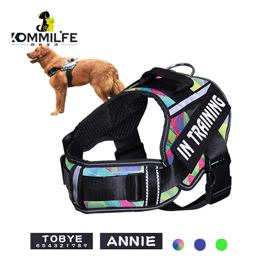 Adjustable Nylon Dog Harness Personalized