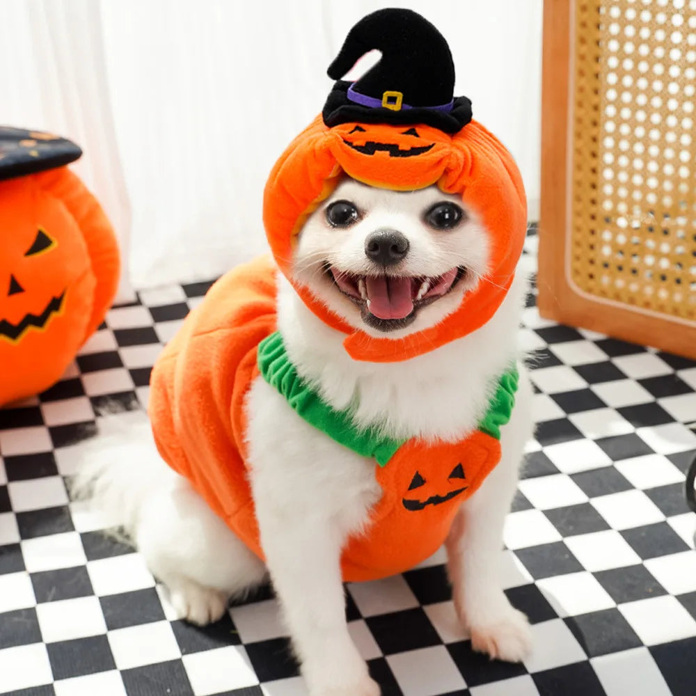 Pumpkin Fit Dog Halloween  Costumes