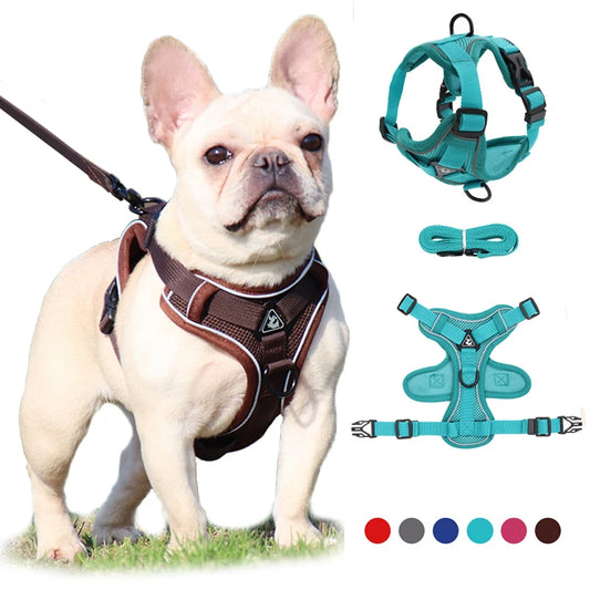 Bravo No Pull Dog Harness and Leash