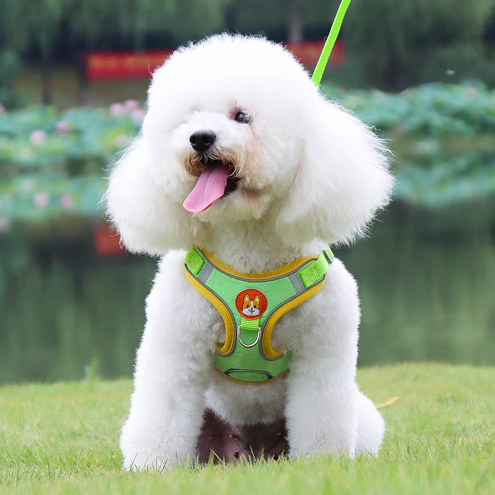 Dogs Adjustable Harness Leash Set