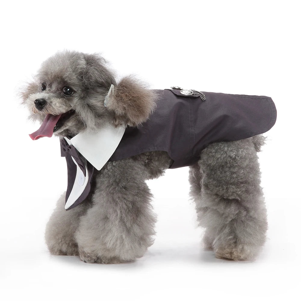 Mr. Dog Fashion formal vest