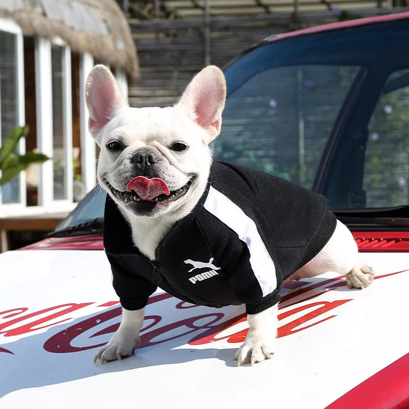 Baseball Dog Jacket