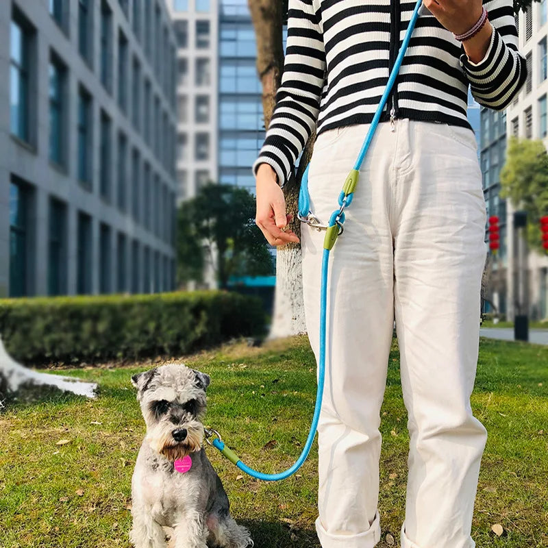 Reflective Nylon Leashes