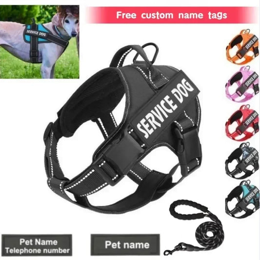 Personalized  Dog Harness  Breathable and Adjustable No-Pull  Dog Harness leash set