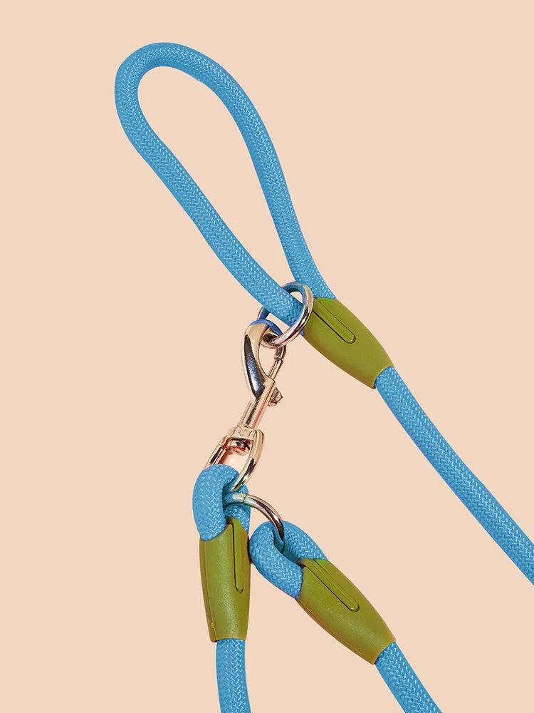 Reflective Nylon Leashes