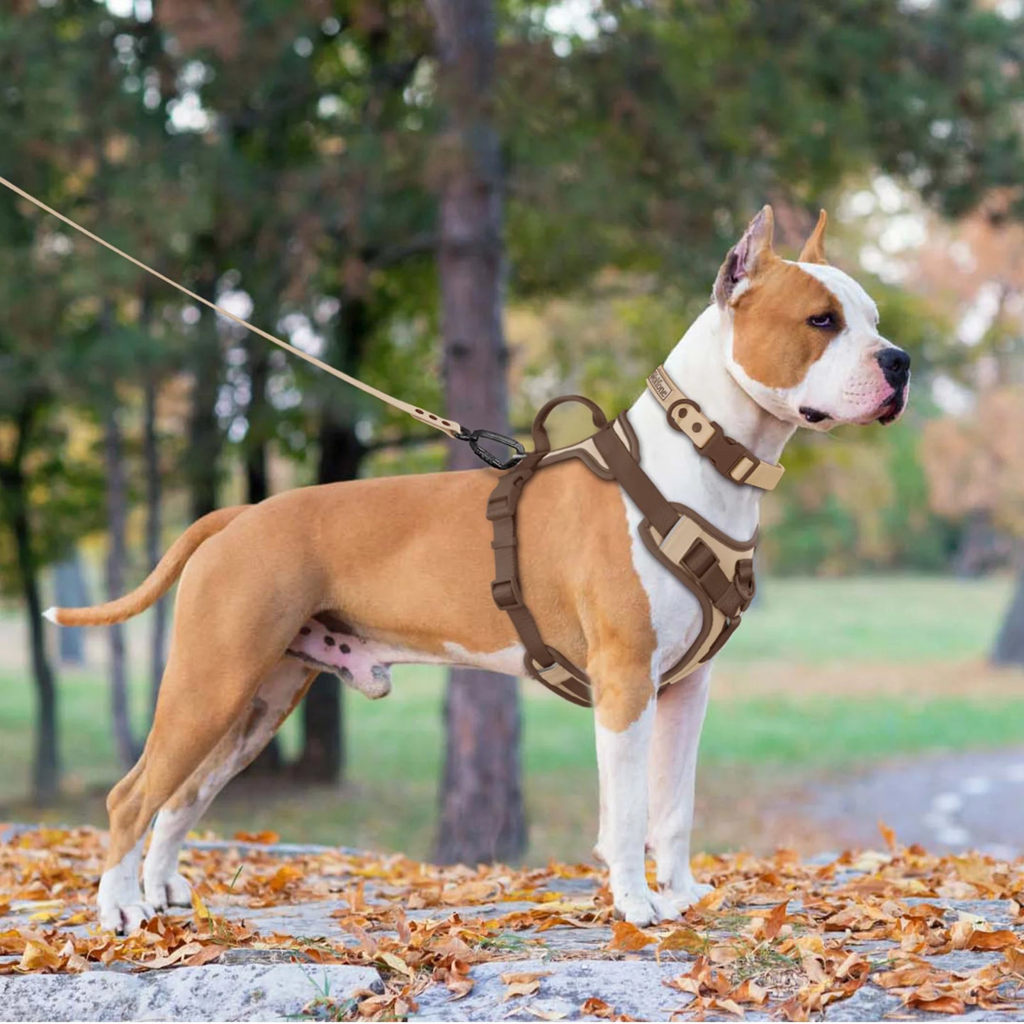 New Chocolate color luxury Dog Harness no pull