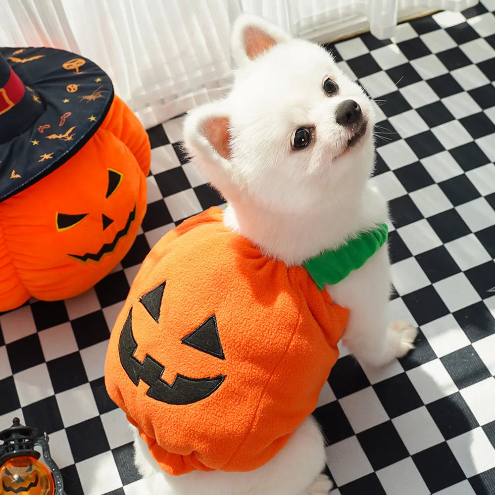 Pumpkin Fit Dog Halloween  Costumes