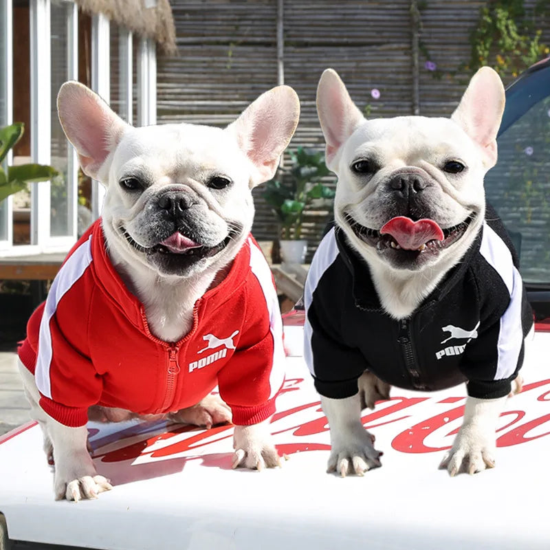 Baseball Dog Jacket