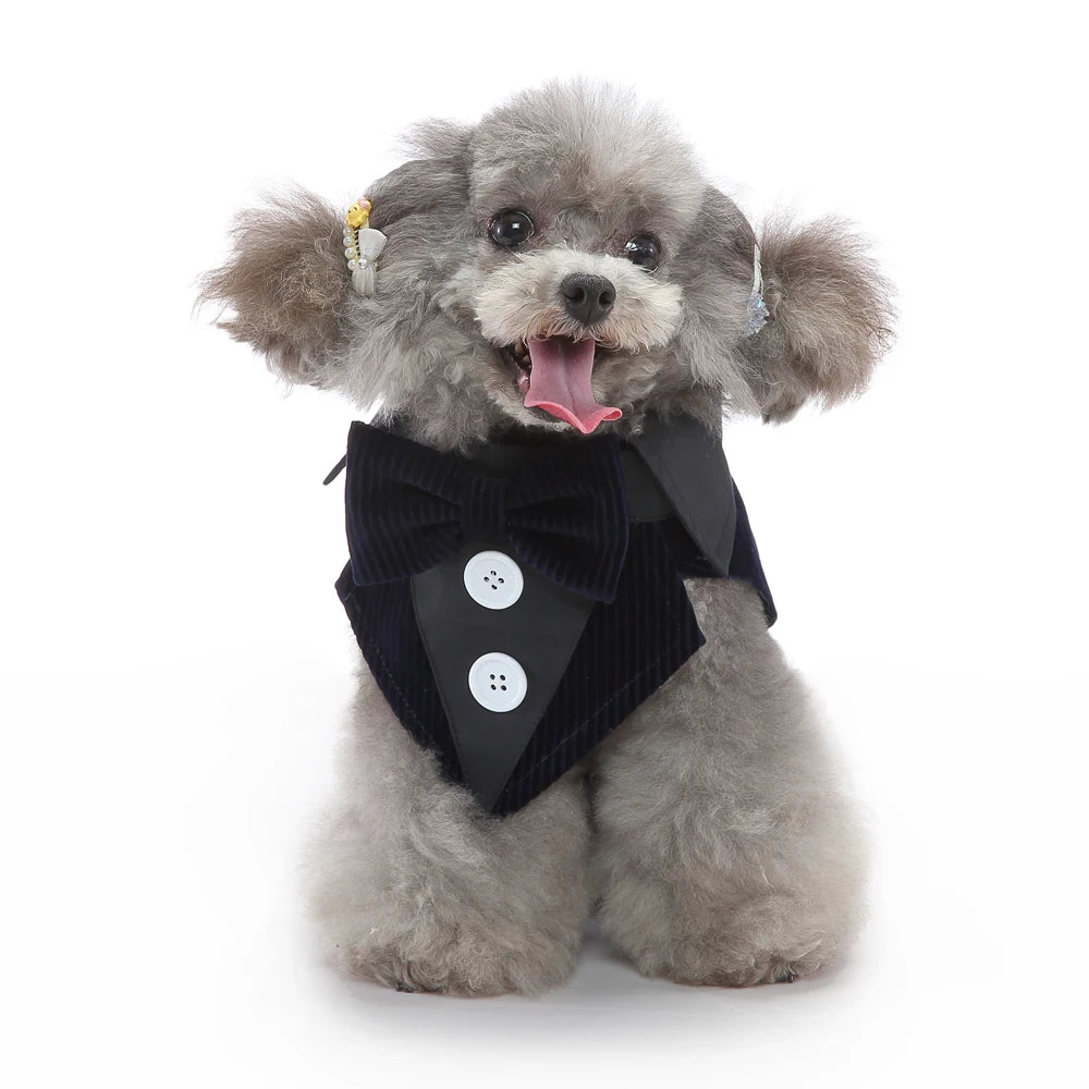 Mr. Dog Fashion formal vest