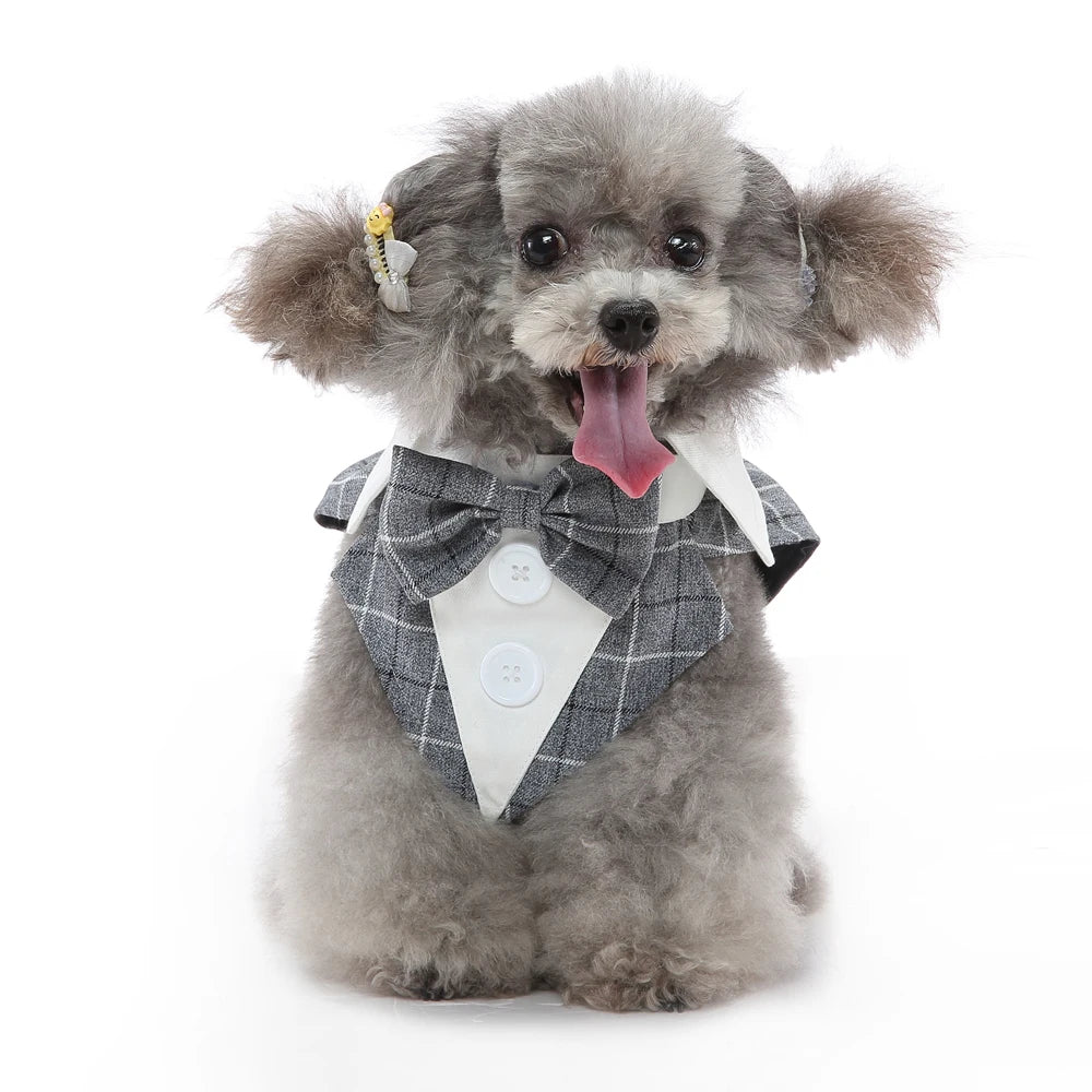 Mr. Dog Fashion formal vest