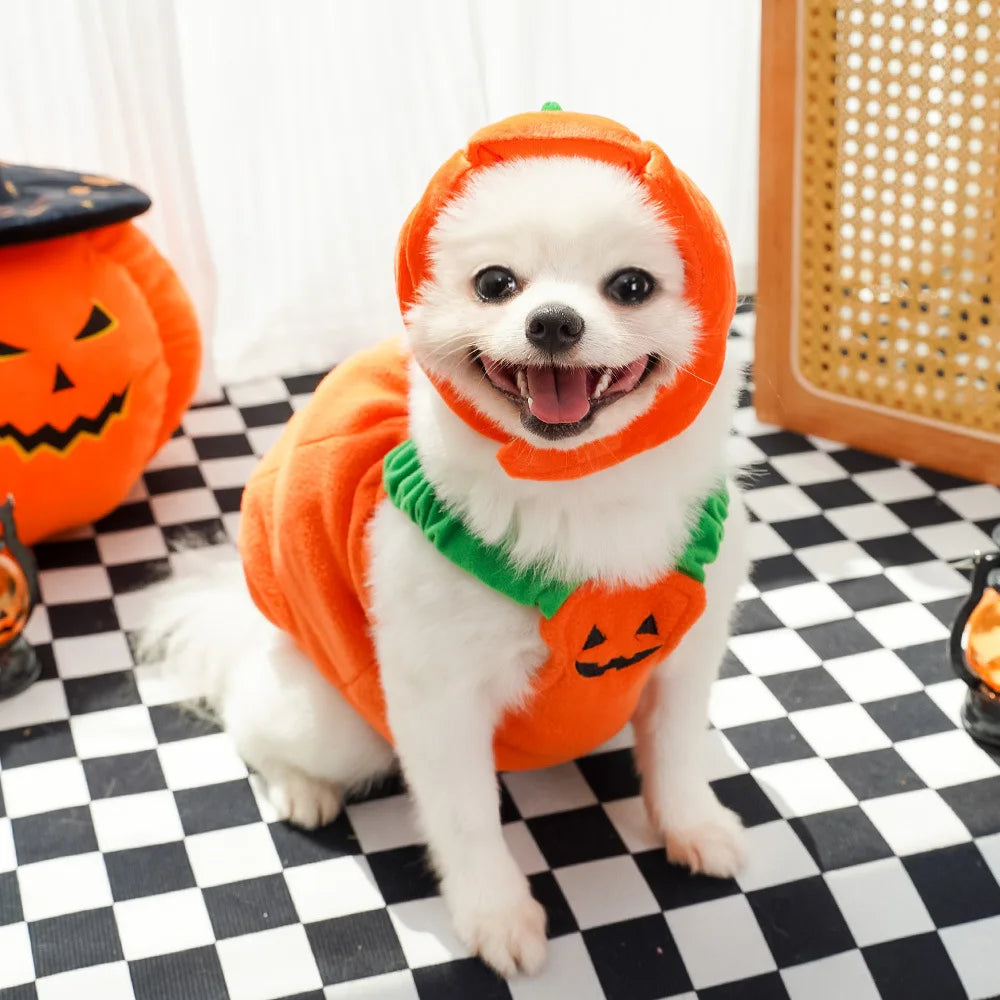 Pumpkin Fit Dog Halloween  Costumes