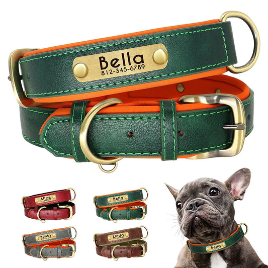 Customized Leather ID Nameplate Dog Collar S