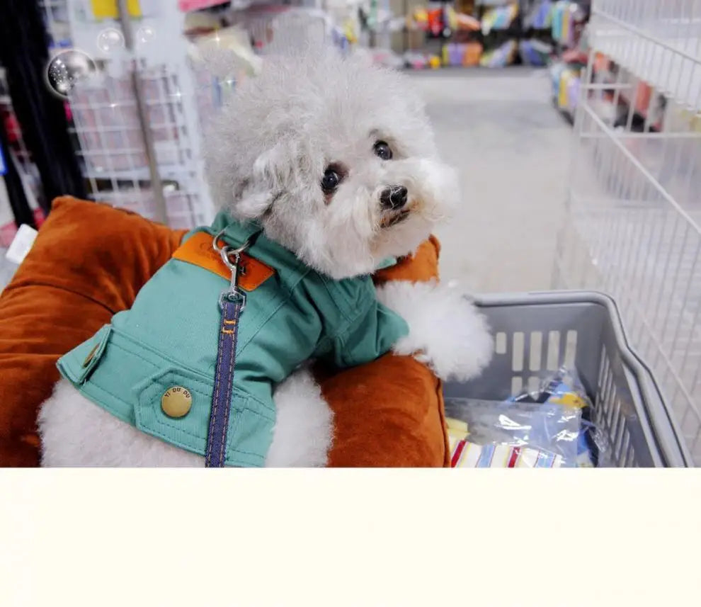 Spring Dog Suit Outfits Denim Coat