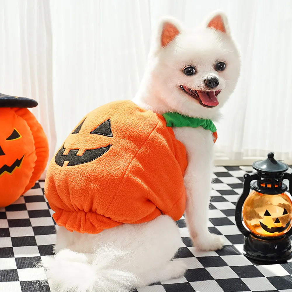 Pumpkin Fit Dog Halloween  Costumes