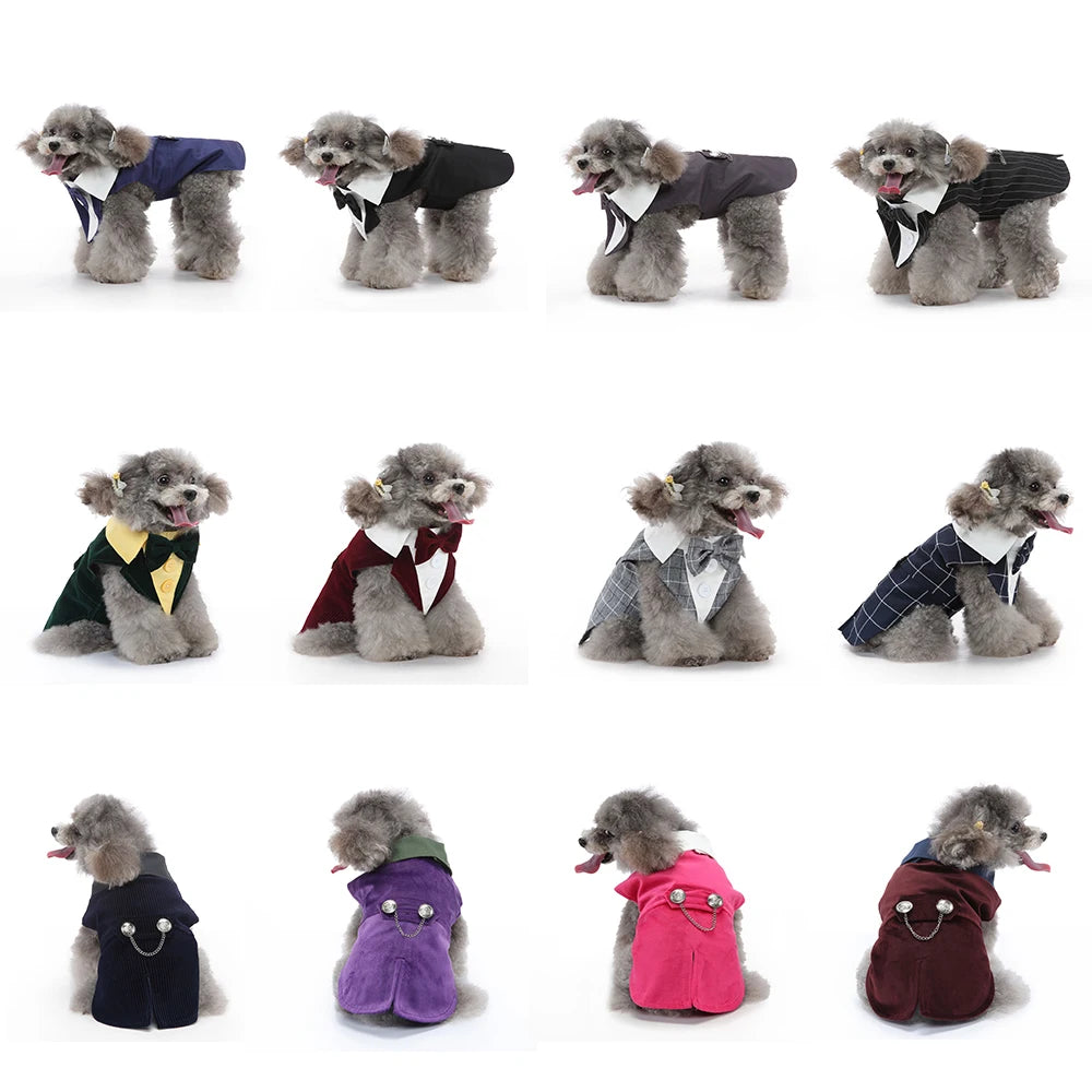 Mr. Dog Fashion formal vest