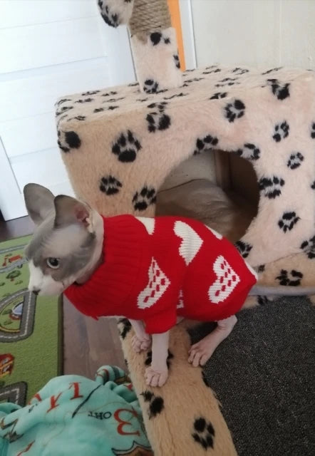 Christmas Sweater Dog clothes