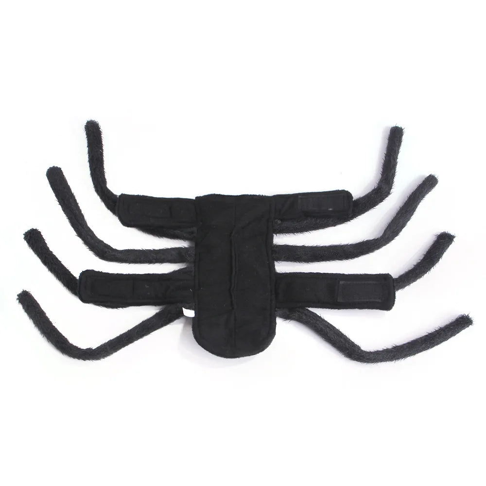 Halloween Funny Spider Costume