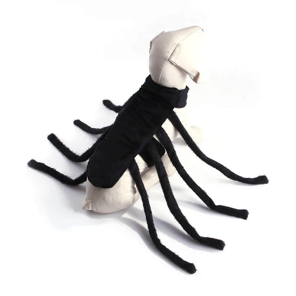 Halloween Funny Spider Costume