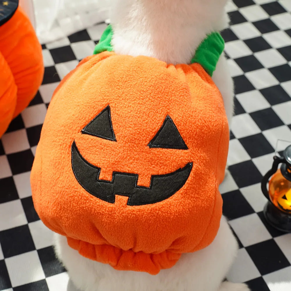 Pumpkin Fit Dog Halloween  Costumes