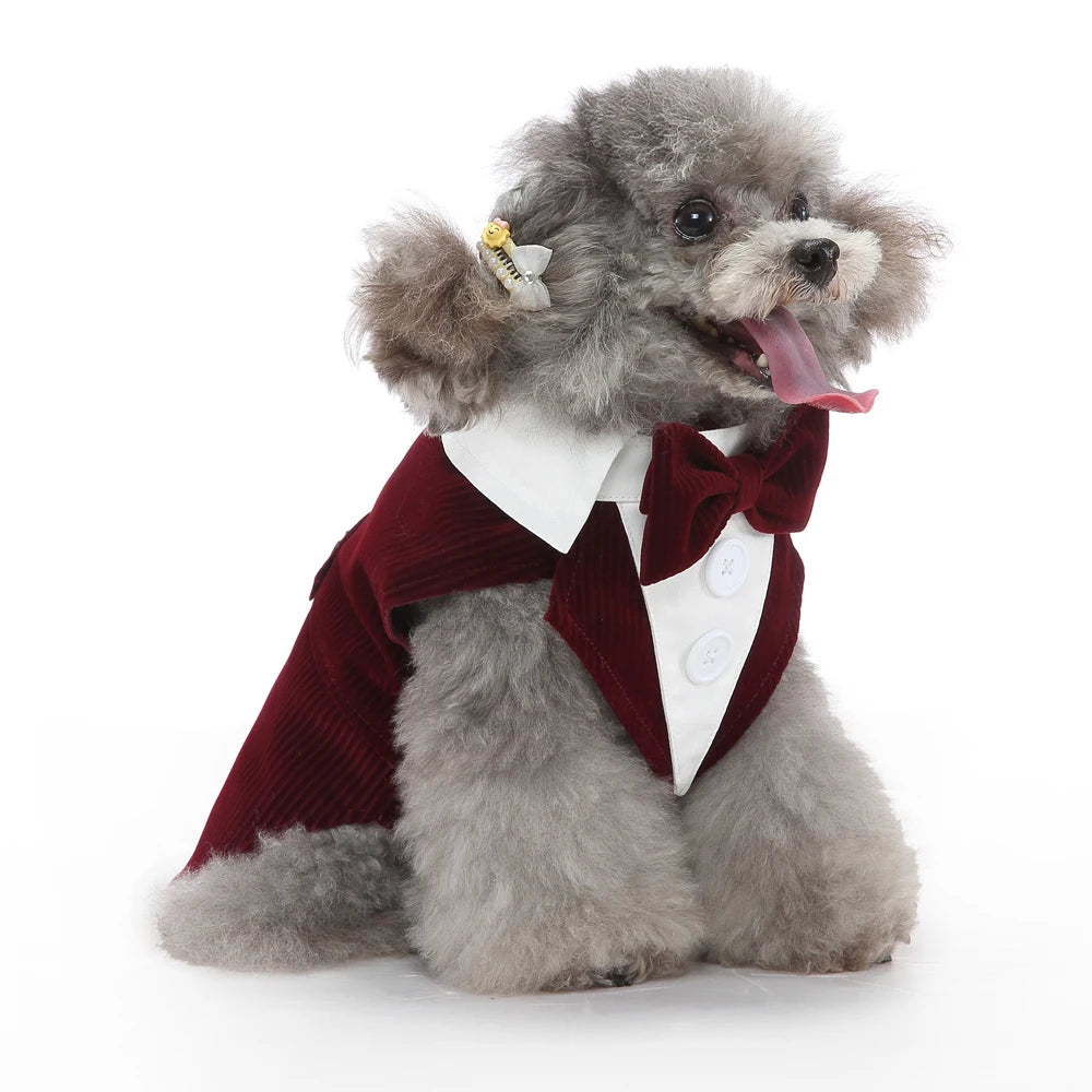 Mr. Dog Fashion formal vest