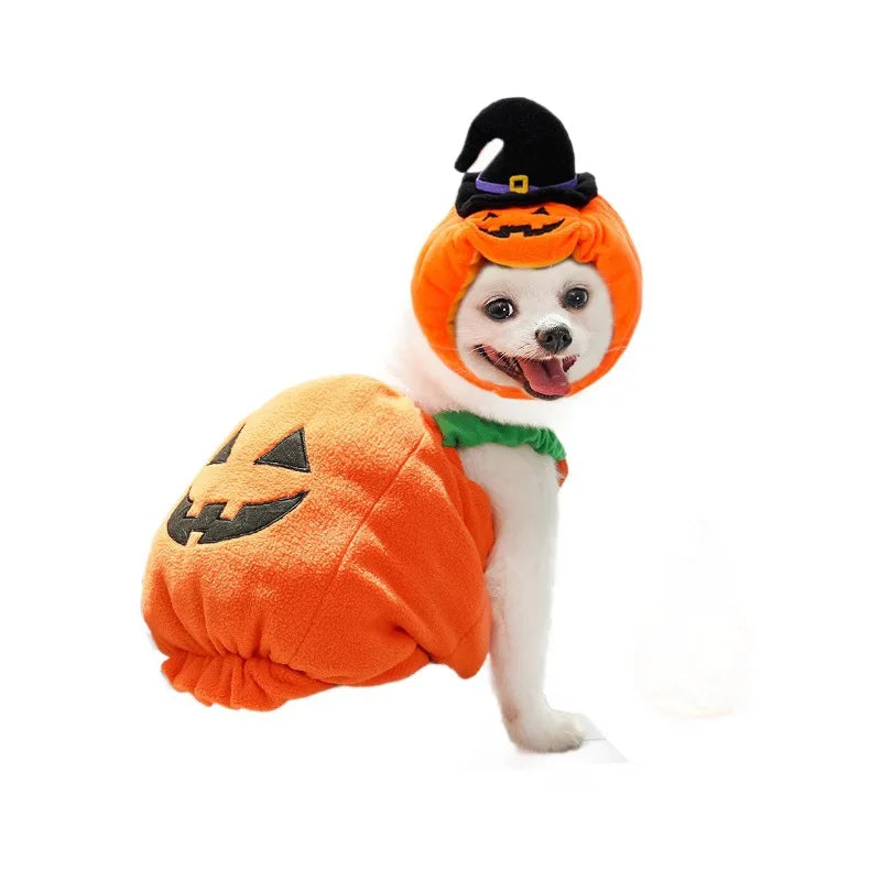 Pumpkin Fit Dog Halloween  Costumes