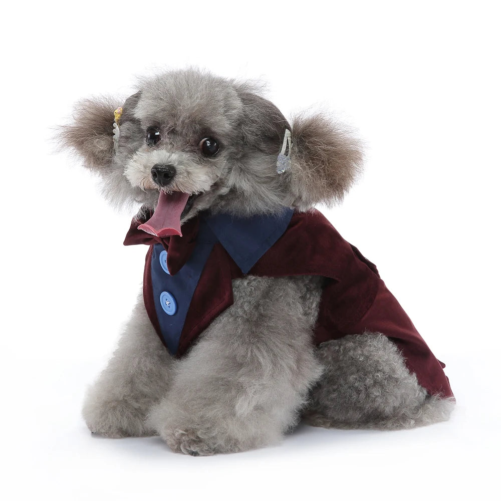 Mr. Dog Fashion formal vest