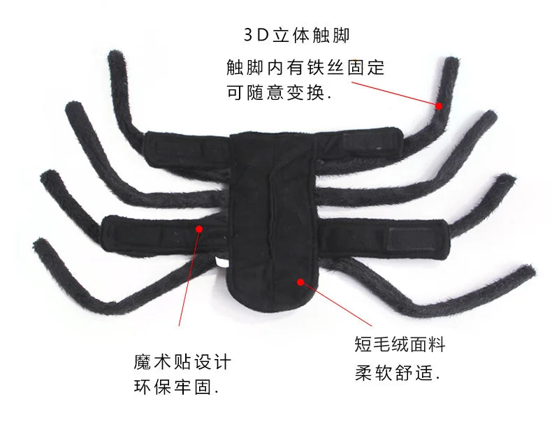 Halloween Funny Spider Costume