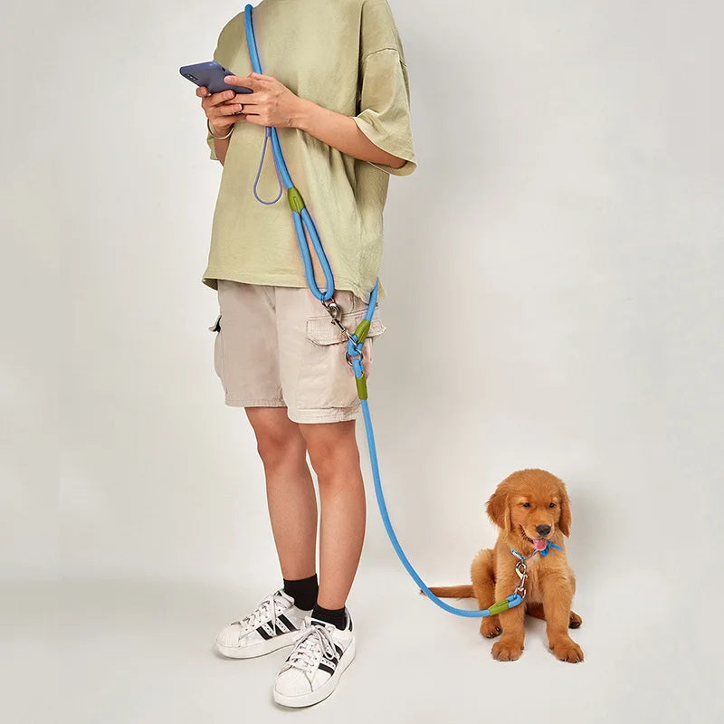 Reflective Nylon Leashes