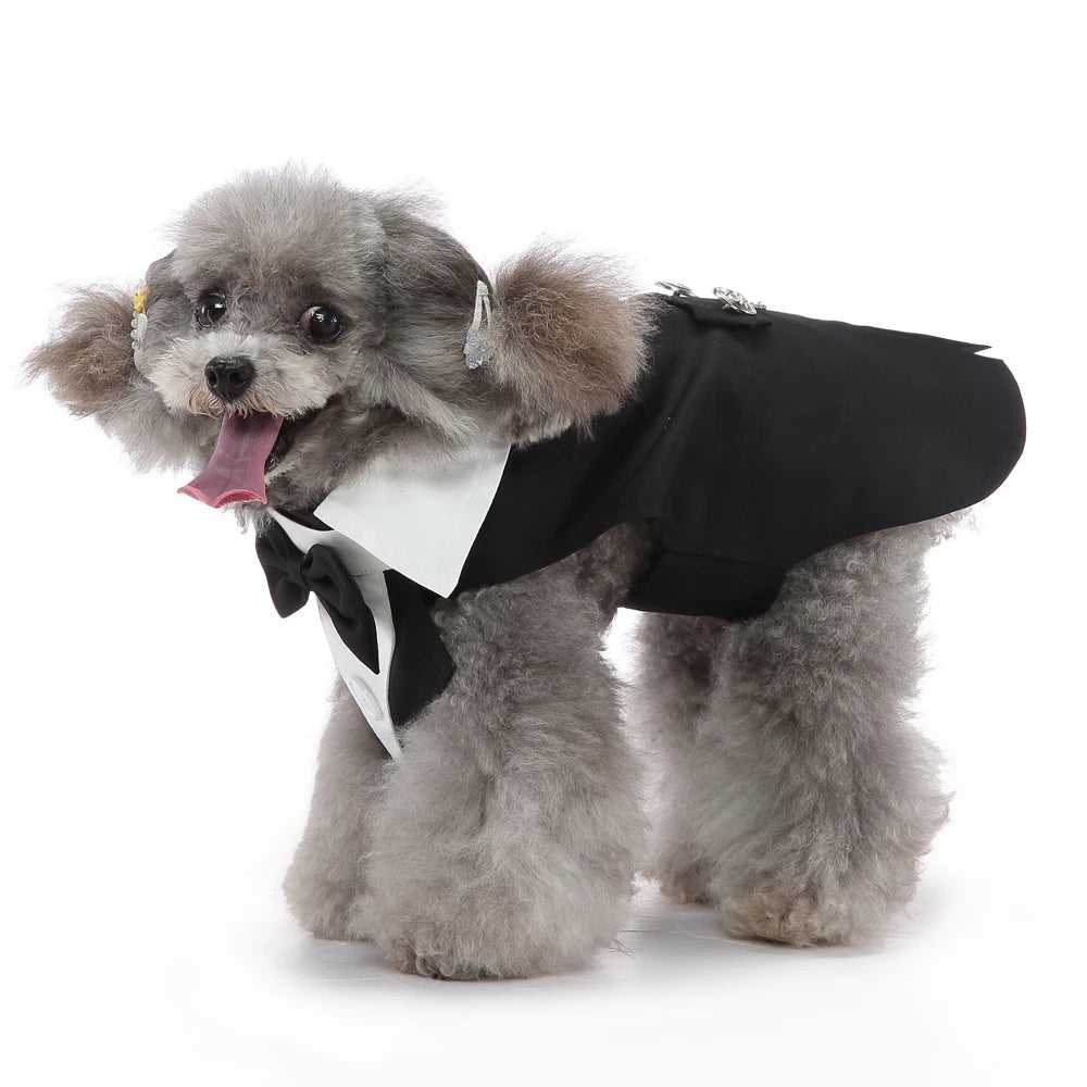 Mr. Dog Fashion formal vest