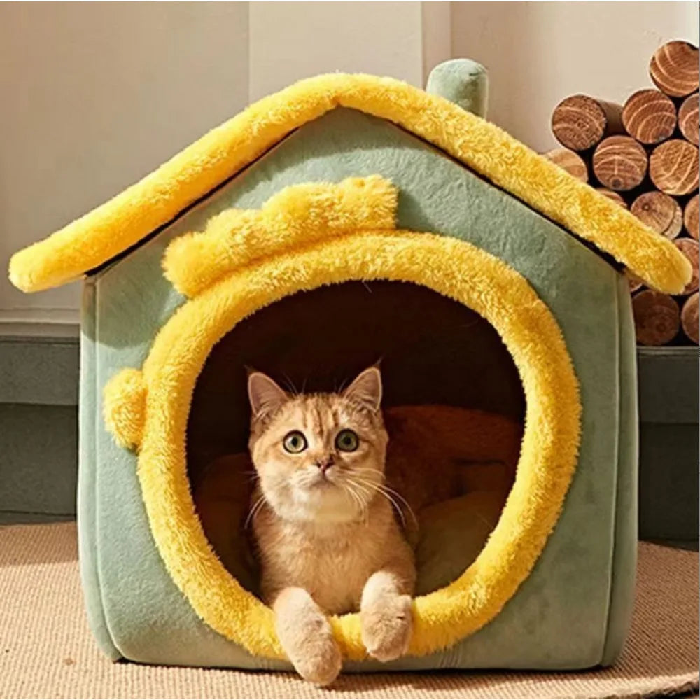 Mi casa Cats and Dogs House