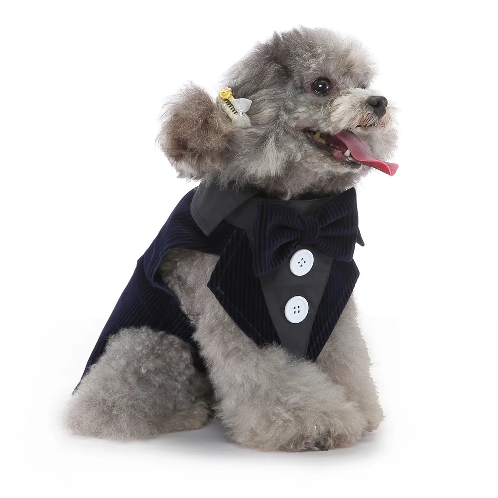 Mr. Dog Fashion formal vest