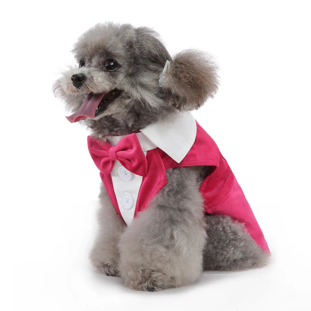 Mr. Dog Fashion formal vest