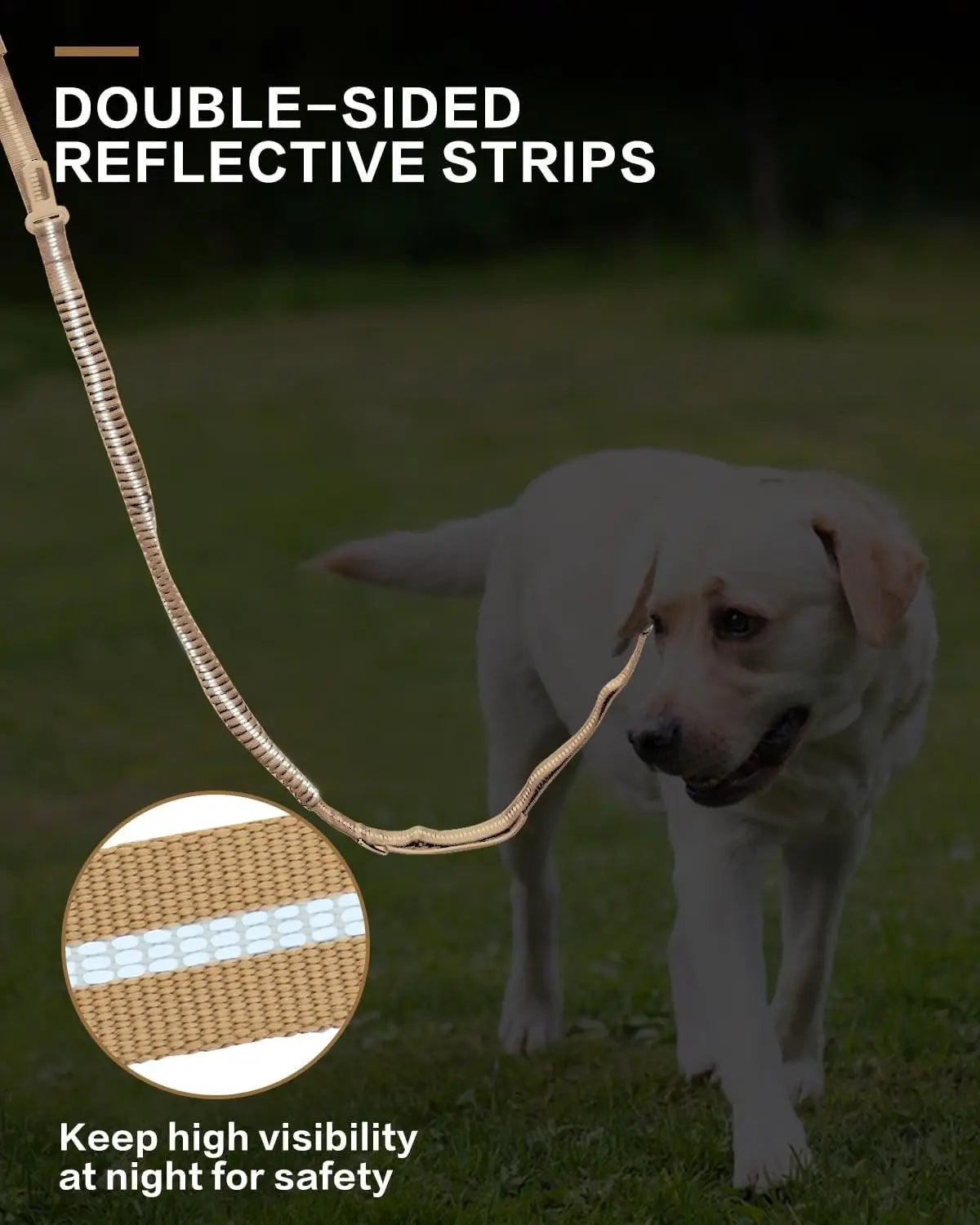 Reflective Shock Absorbing Pet Leashes with Car Seatbelt for Large Dogs