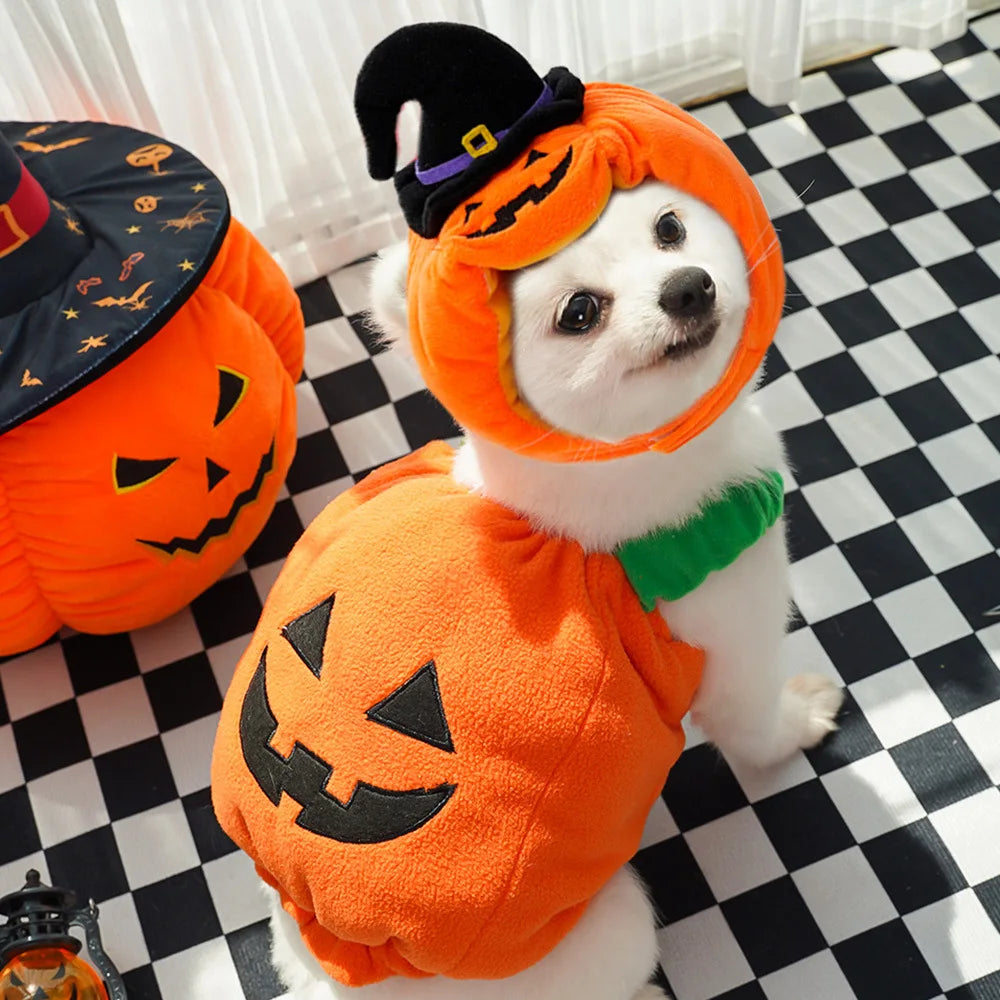 Pumpkin Fit Dog Halloween  Costumes