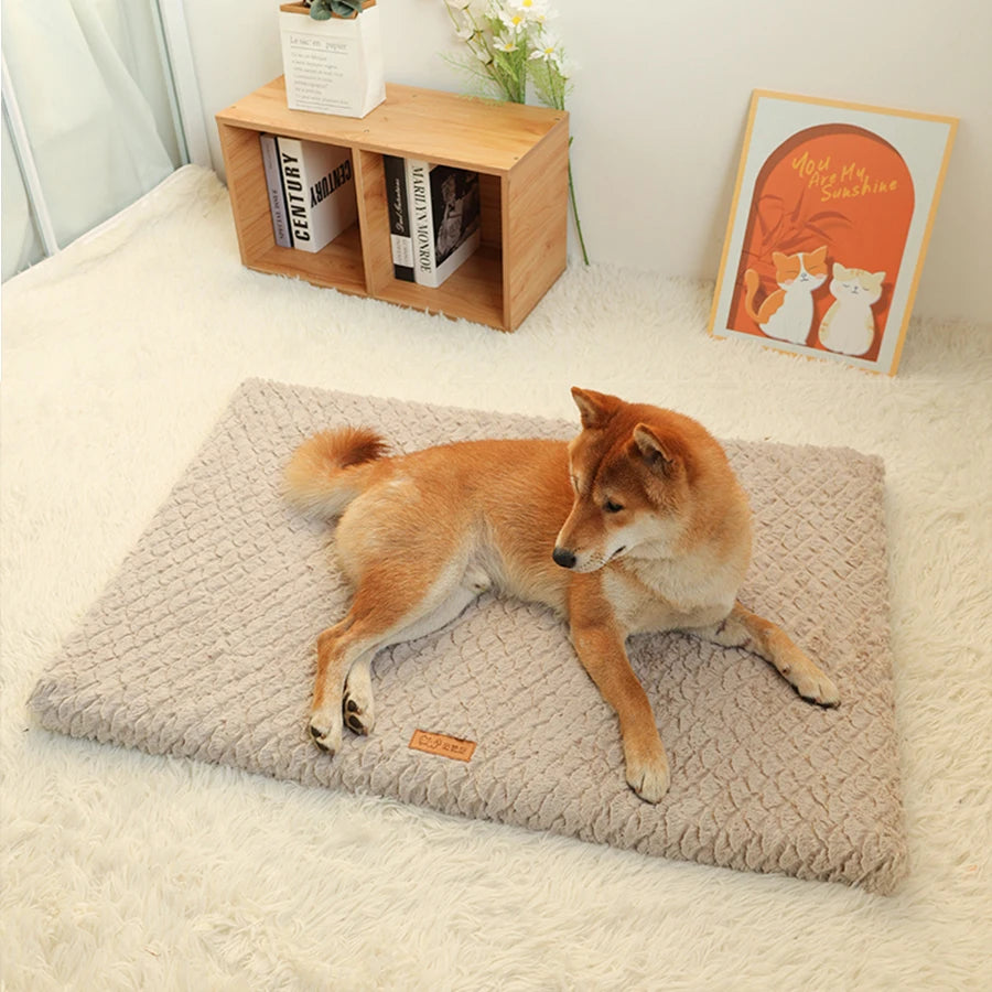 Short Plush Removable Washable Pet Bed