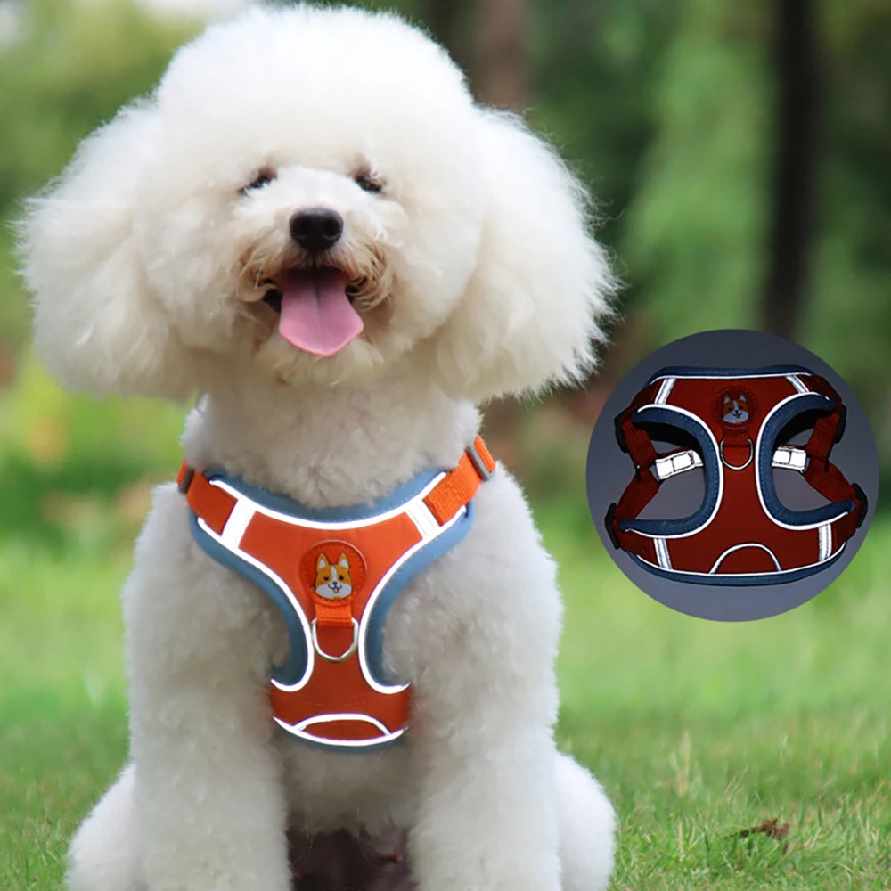 Dogs Adjustable Harness Leash Set