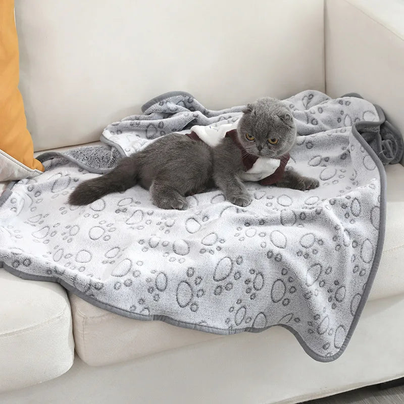 Soft Fluffy High Quality Pet Blanket