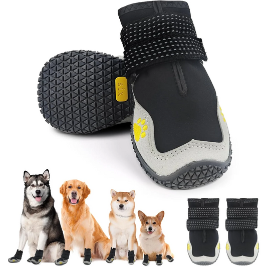 Carlito Dog Shoes