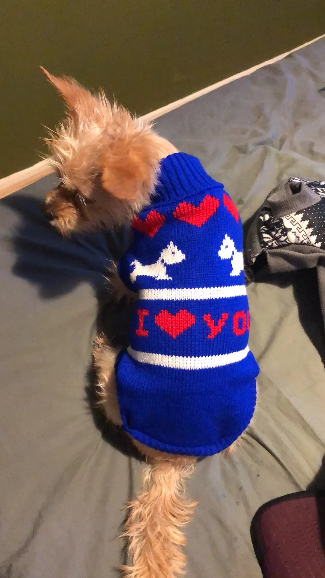 Christmas Sweater Dog clothes