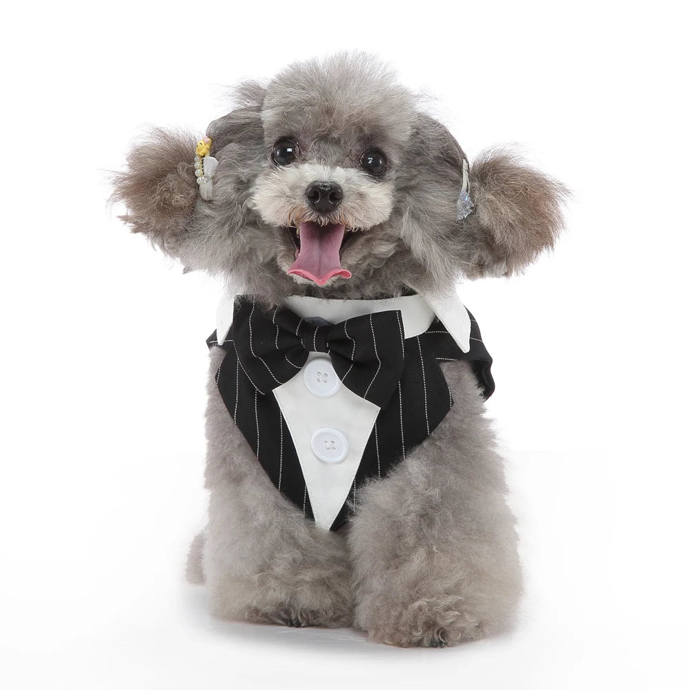 Mr. Dog Fashion formal vest