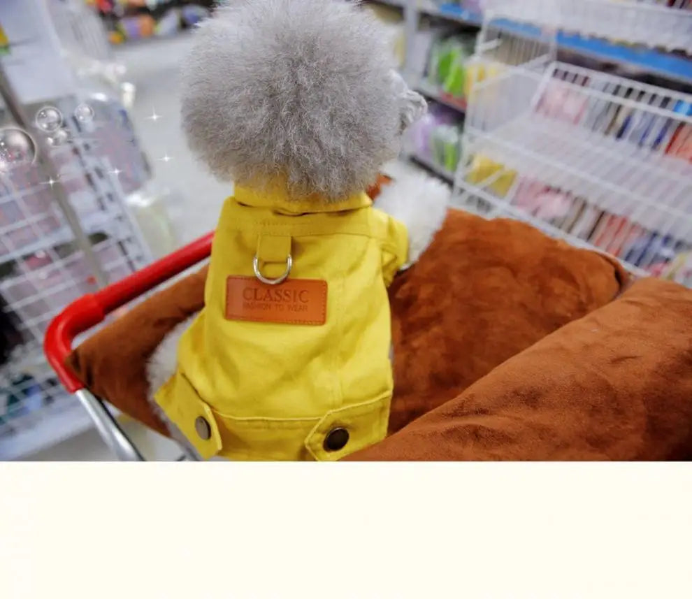 Spring Dog Suit Outfits Denim Coat