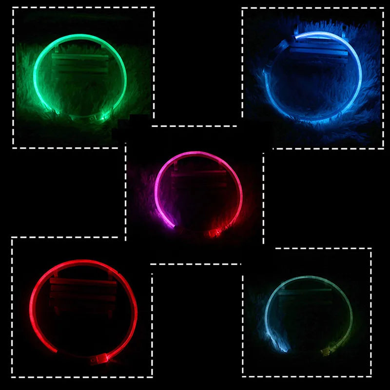 Led Dog Collar Luminous Usb Cat Dog Collar 3 Modes Led Light Glowing Loss Prevention LED Collar For Dogs Pet Dog Accessories